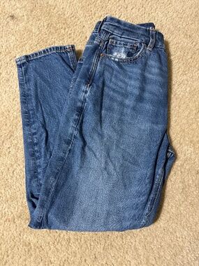 American eagle mom jeans high raise